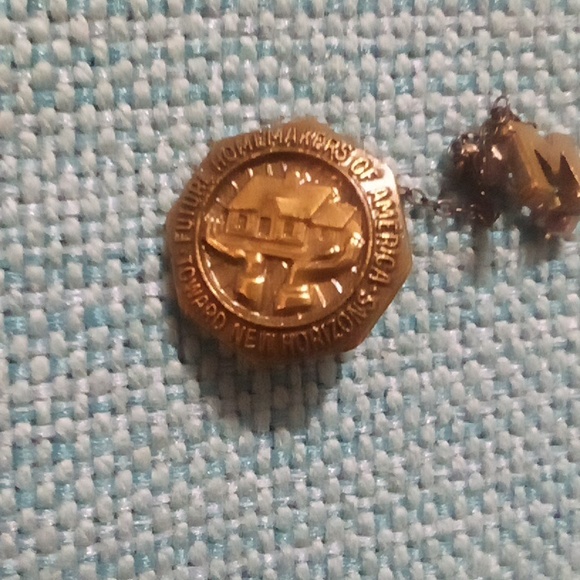 Vintage future homemakers of America toward New horizons lapel pin - Picture 2 of 4